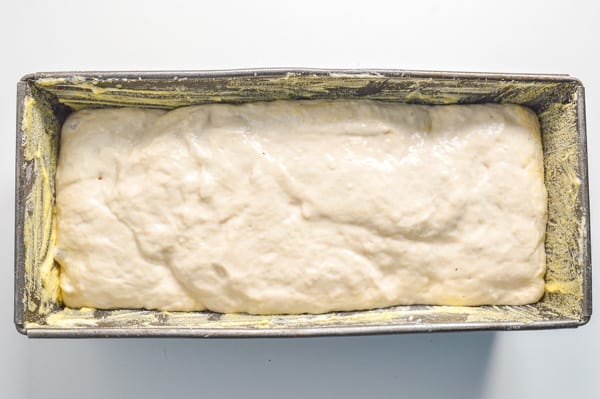 risen dough in a tin