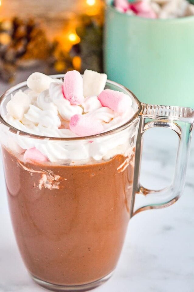Spiced Hot Chocolate Mix Recipe The Fiery Vegetarian