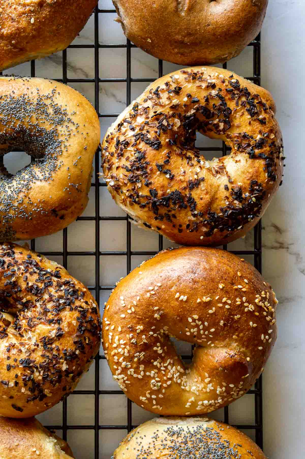 Are Bagels Vegan? (Plus Vegan Bagel Brands, Recipes & Cafés) The