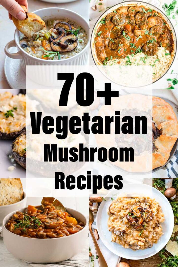 70+ Easy Vegetarian Mushroom Recipes - The Fiery Vegetarian
