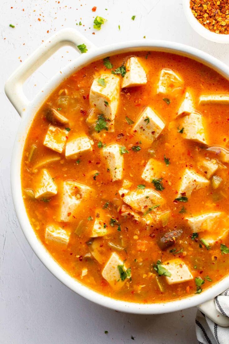 Spicy Silken Tofu Recipe (20 minutes!) The Fiery Vegetarian