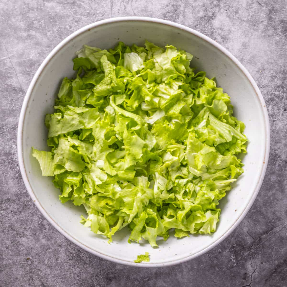 A grey bowl with chopped lettuce in it